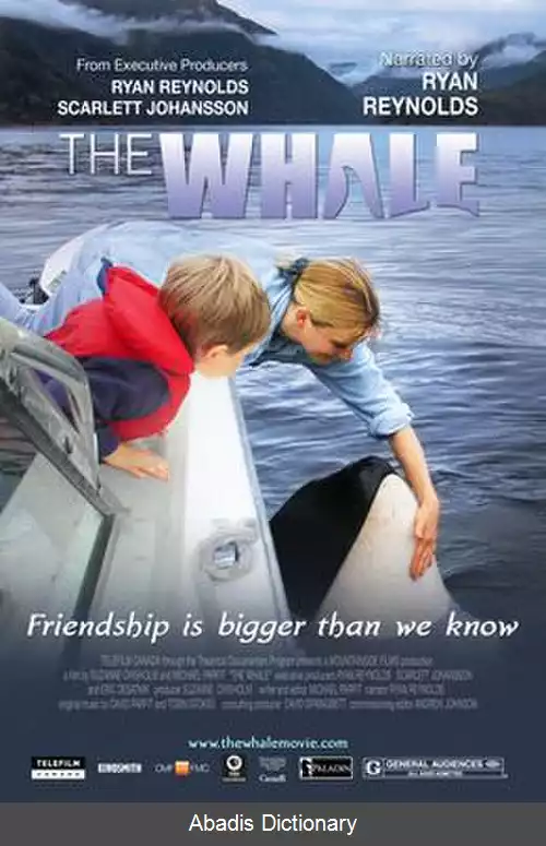 عکس نهنگ (فیلم ۲۰۱۱)