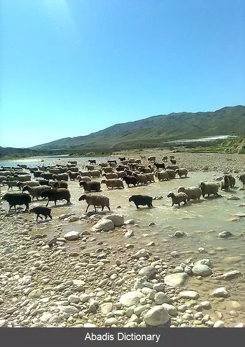 عکس رود زهره