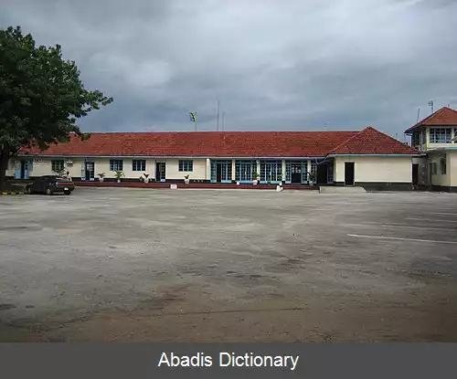 عکس فرودگاه تانگا