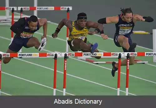 عکس عمر مک لاود