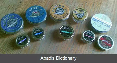 عکس منابع غیرنفتی در دریای خزر