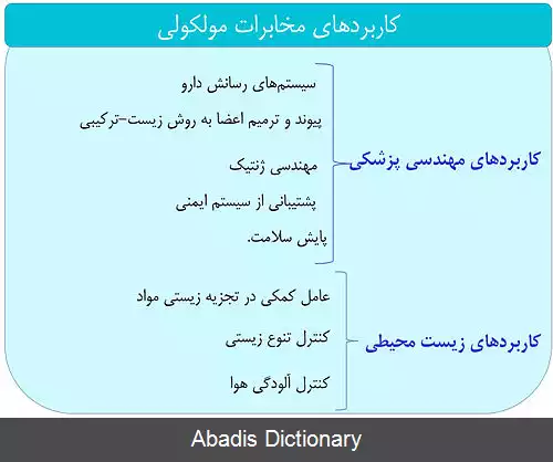 عکس شبکه های نانویی