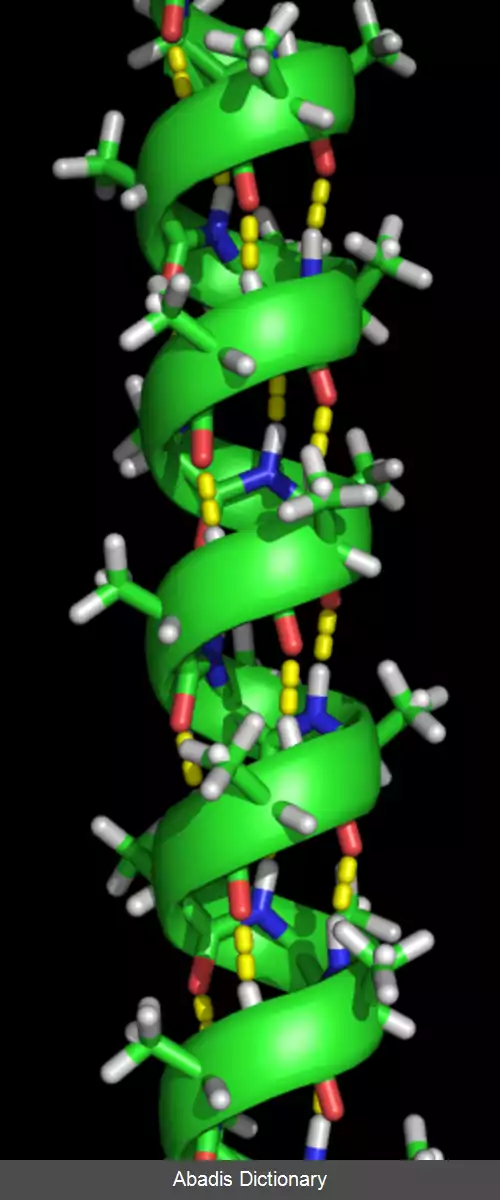 عکس پیش بینی ساختار پروتئین