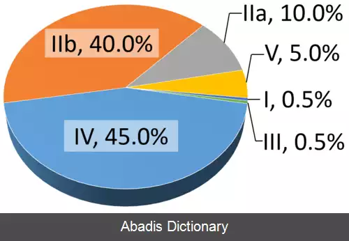 عکس هیپرلیپیدمی