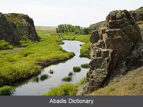 عکس سیلتی