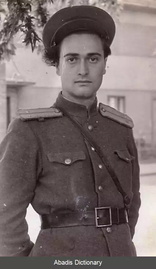 عکس ولادمیر گلفاند