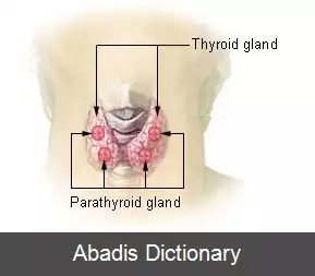 عکس هیپرپاراتیروئیدی ثانویه