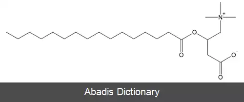 عکس پلامیتویل کارنیتین