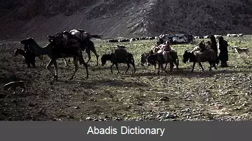 عکس اثر زیست محیطی آبیاری