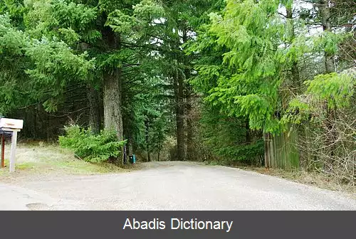 عکس فرودگاه هیدن ماونتن