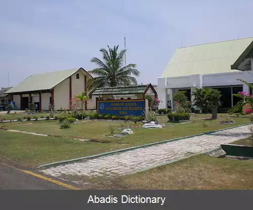 عکس فرودگاه بیما