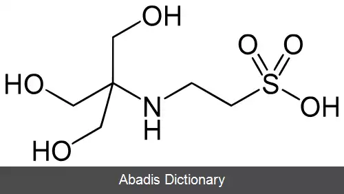 عکس تی ئی اس (بافر)