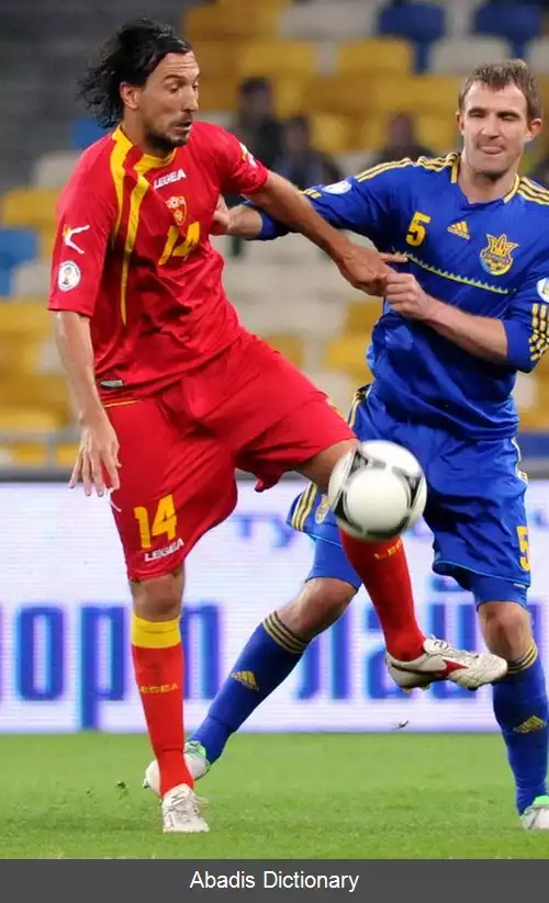 عکس دیان دامیانوویچ