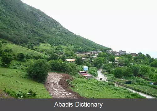 عکس کلاله سفلی