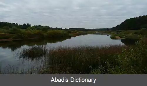 عکس رودخانه مدودیتسا (حوضه ولگا)