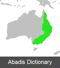 عکس کلاغ زنگی ابلق