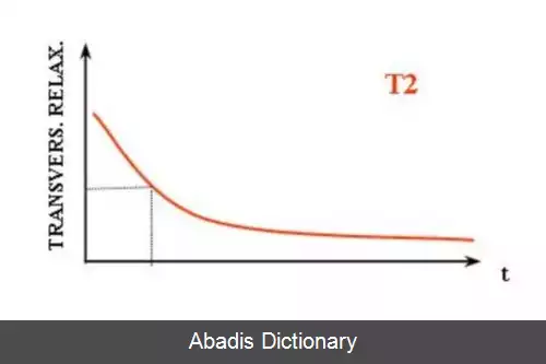 عکس زمان استراحت اسپین–اسپین