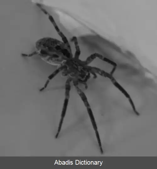 عکس آستانه گذاری هیستوگرام متقارن