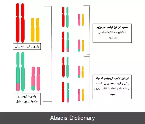 عکس جابه جایی کروموزومی
