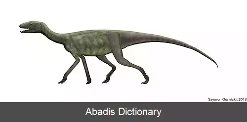 عکس سیلسور
