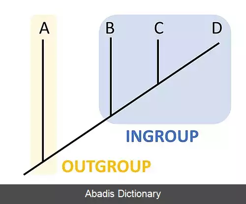 عکس برون گروه (کلادیستیک)