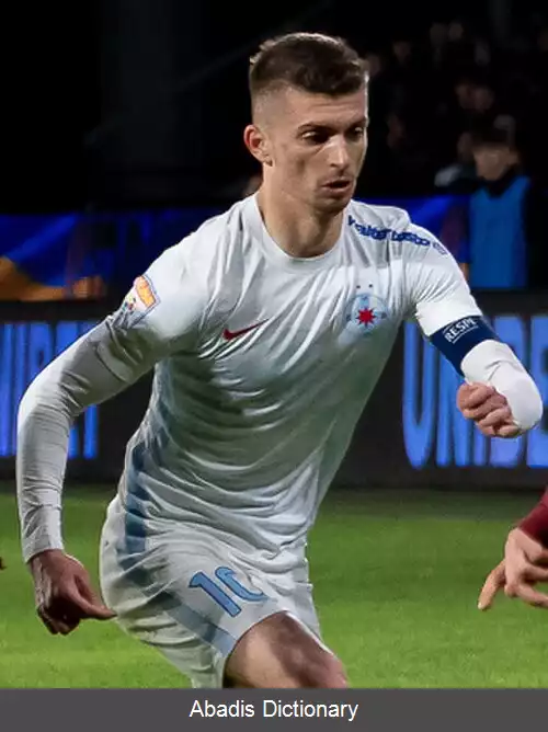 عکس فلورین تانسه