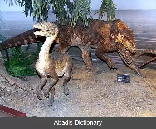 عکس سیلسور