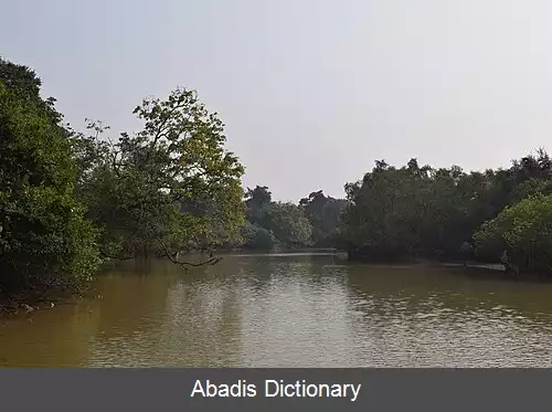 عکس بهیتارکانکا مانگرو