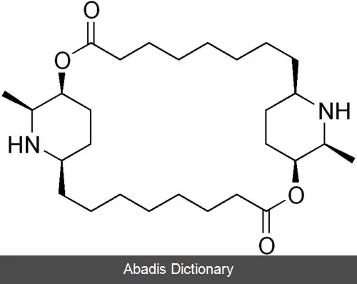 عکس کارپین