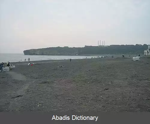 عکس سیجین