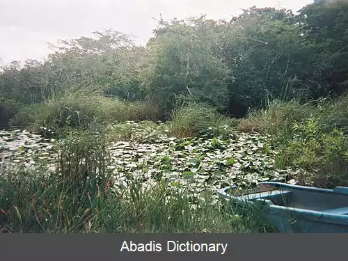 عکس استان ایسلا د لا خوبنتود