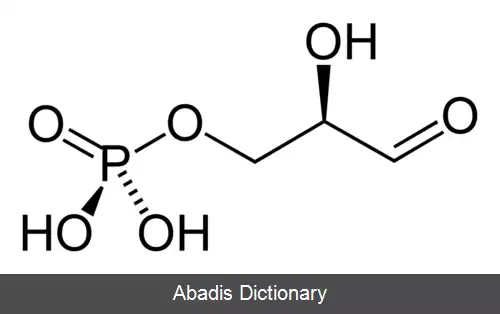 عکس گلیسرآلدئید ۳ فسفات