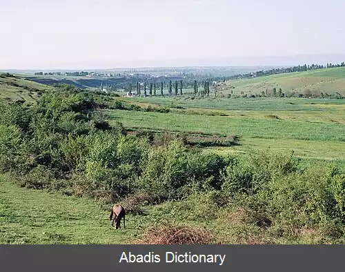 عکس گده زیخور