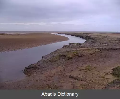 عکس استیف کی