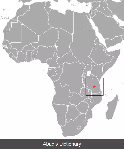 عکس میمون قرمز اوزونگوا