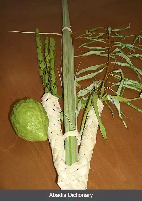 عکس اربعه مینیم