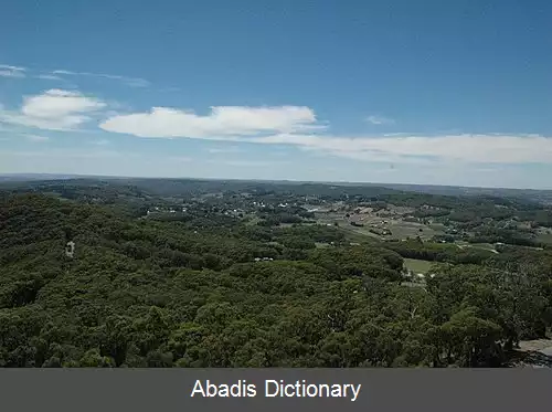 عکس پیکادیلی استرالیای جنوبی