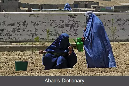 عکس زنان در کشاورزی افغانستان