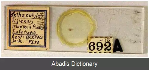 عکس اسلاید میکروسکوپ