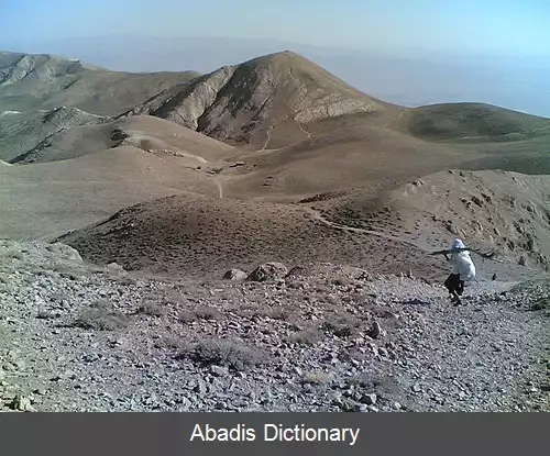 عکس استند جدید