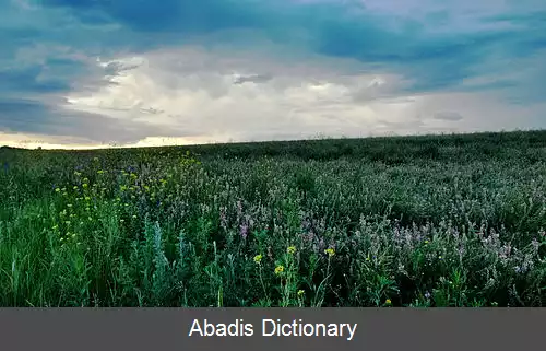 عکس ذخیره گاه طبیعی مرکزی زمین سیاه
