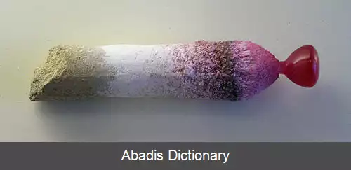 عکس روش ورنویل