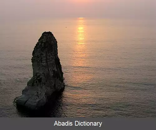 عکس راواشه