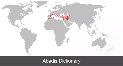 عکس خفاش انگشت دراز