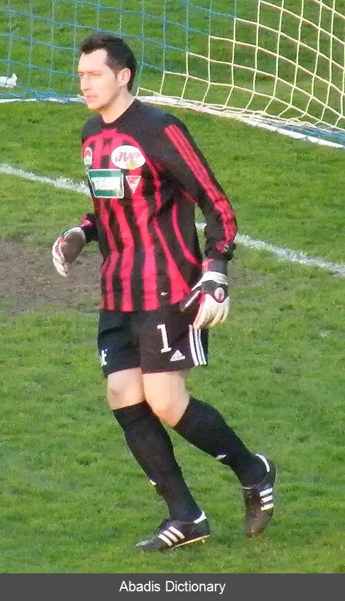 عکس ووکاشین پولکسیچ