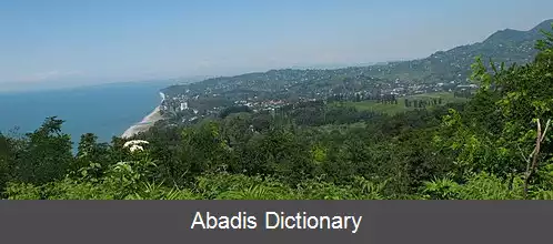 عکس چاکوی