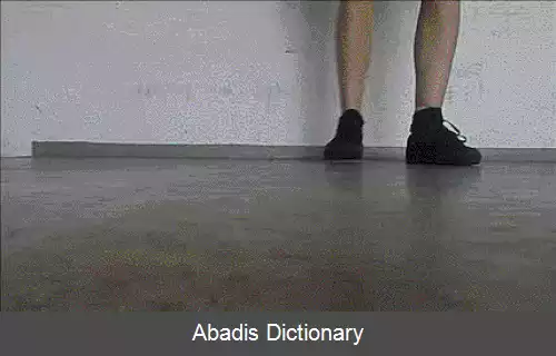عکس رقص شافل