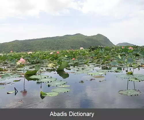 عکس استان باتامبانگ