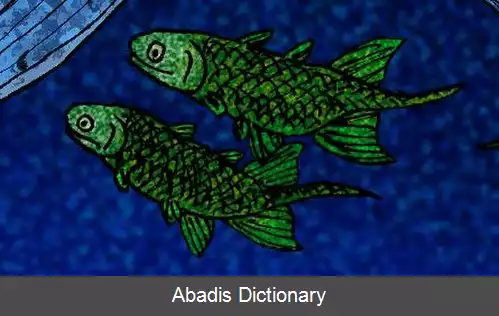 عکس استرونیوس