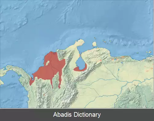 عکس فریادکش شمالی